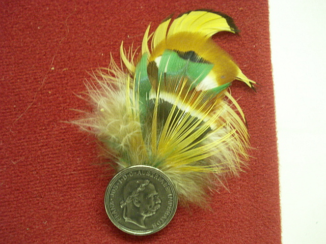 Hutfeder Jagd