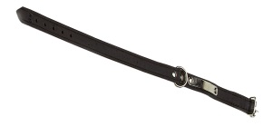 Halsband 45cm - mit Namensschild