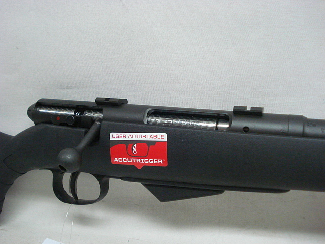 25 Walking Varminter LL56 - .17Hornet, Synthetikschaft