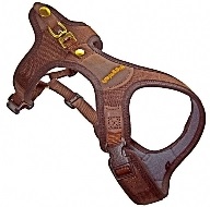 Geschirr Follow Light S - 42cm Halsweite
