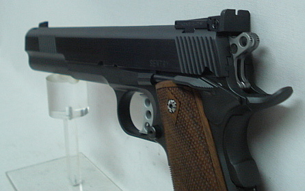 STP Sentry 6.0
