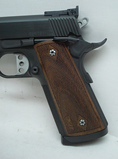 STP Sentry 6.0