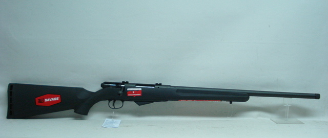25 Walking Varminter LL56 - .17Hornet, Synthetikschaft