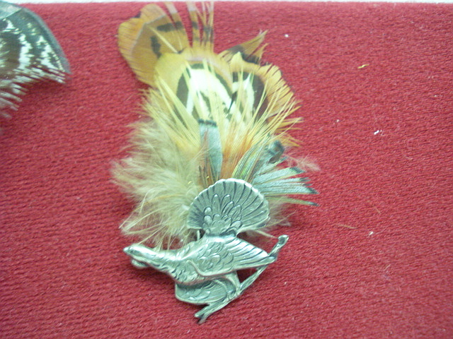 Hutfeder Jagd - Fasan