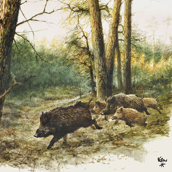 Serviette Wild Boars - a 20 stk