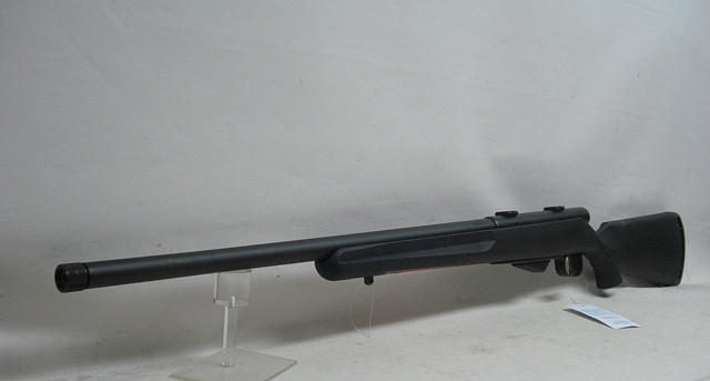25 Walking Varminter LL56 - .17Hornet, Synthetikschaft